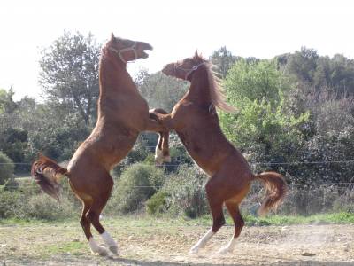 Photo de profil de tite-angel34