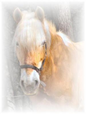 Photo de profil de tite-miss_06