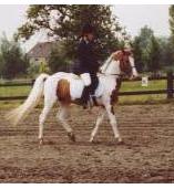 Photo de profil de titilover1