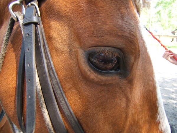 Photo de profil de valine