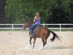 Photo de profil de vanessasd