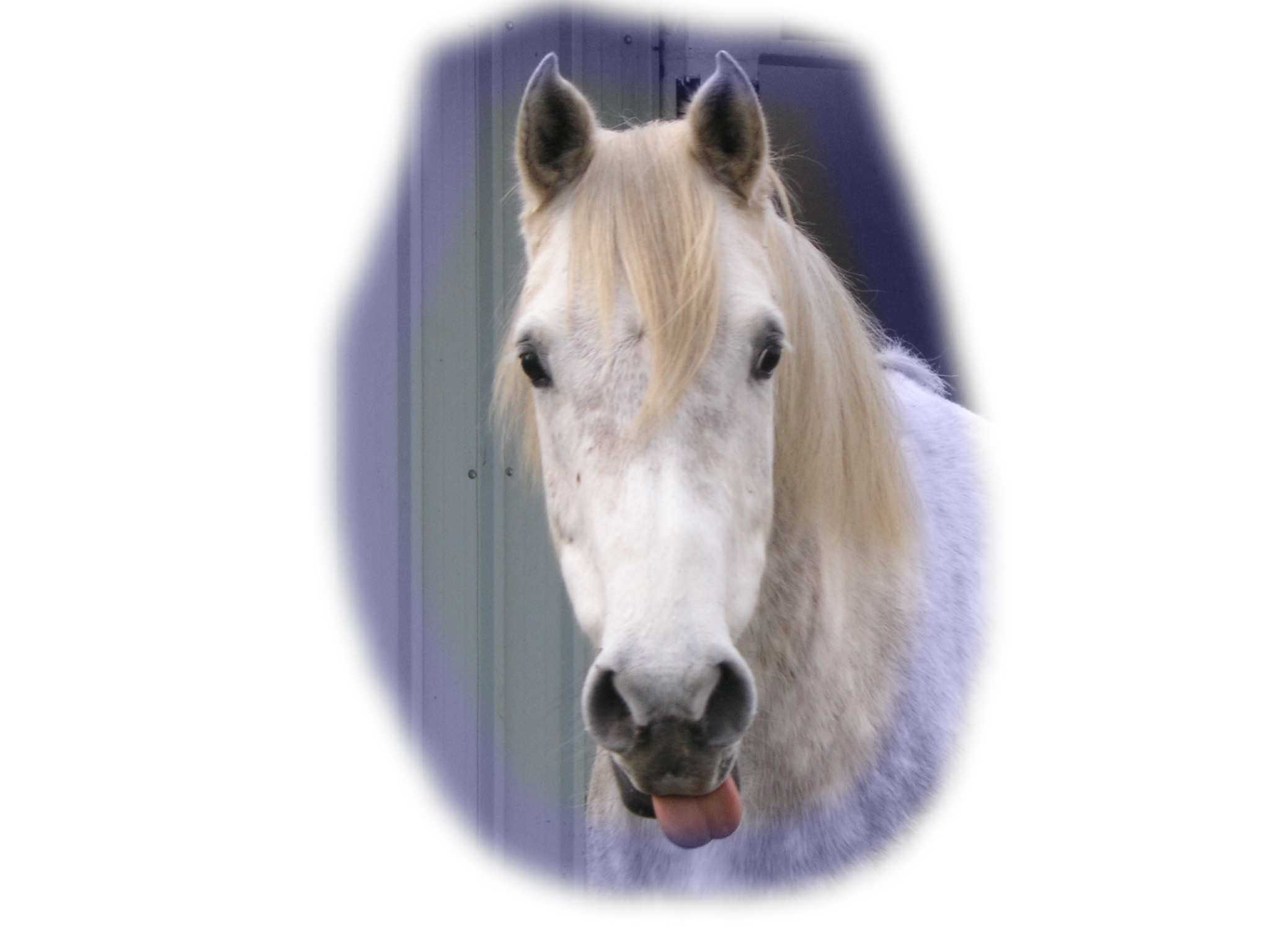 Photo de profil de vdms