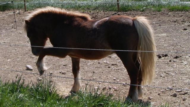 Photo de profil de vesuve84