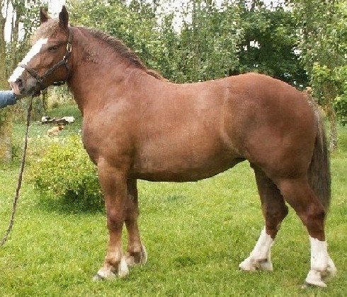 Photo de profil de vilsherv
