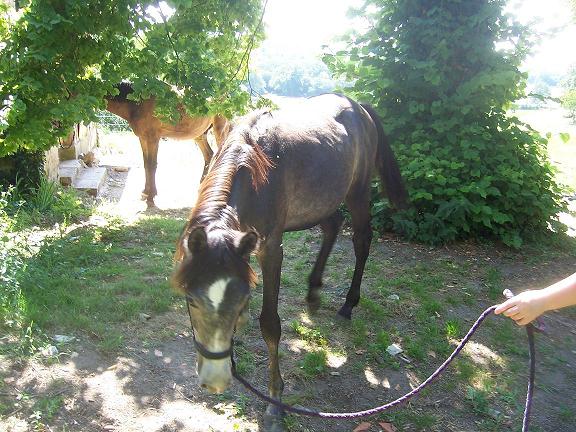 Photo de profil de vivi2007