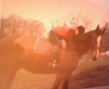 Photo de profil de will