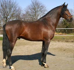 Photo de profil de ypiller