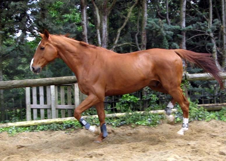 Photo de profil de zazette