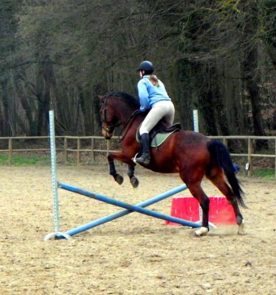 Photo de profil de aclaireles