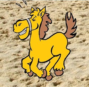 Photo de profil de actucheval