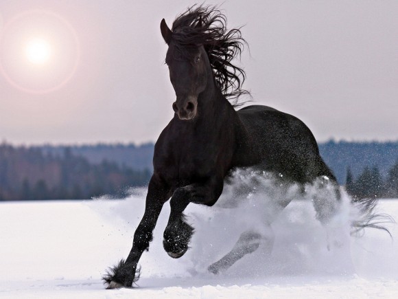 Photo de profil de aderam782603