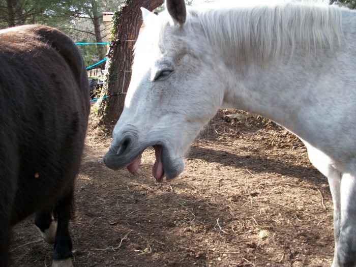 Photo de profil de alala13