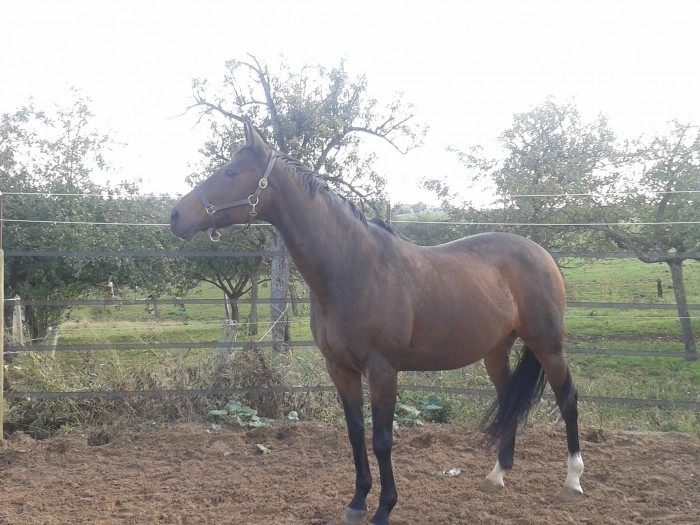 Photo de profil de amandine54240