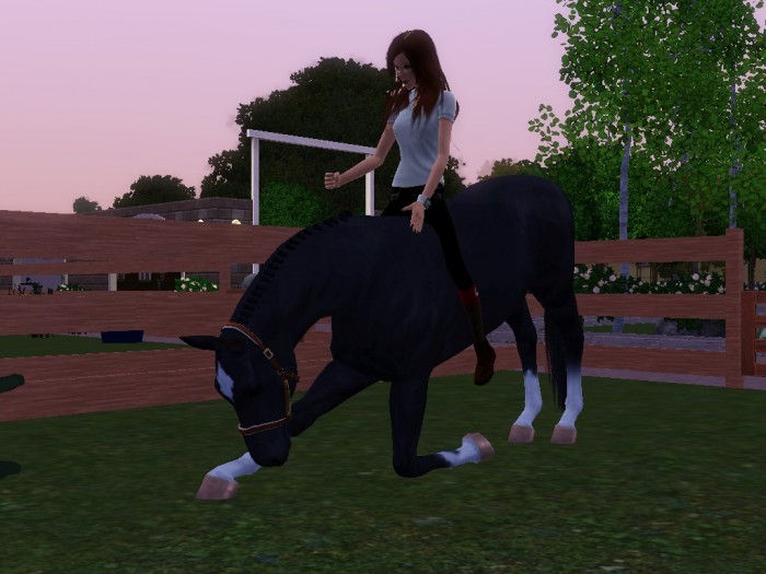 Photo de profil de angel62100