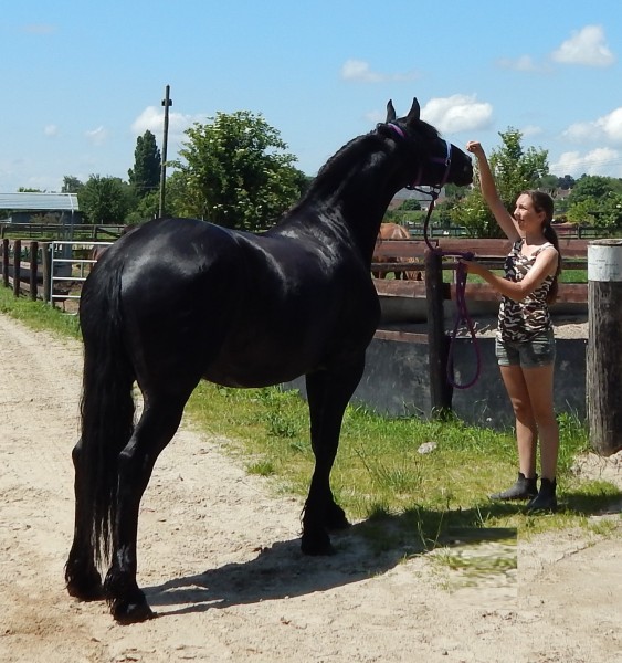 Photo de profil de artenia95