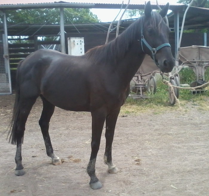 Photo de profil de atce