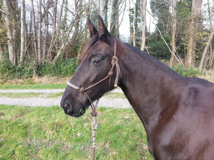 Photo de profil de avalon67