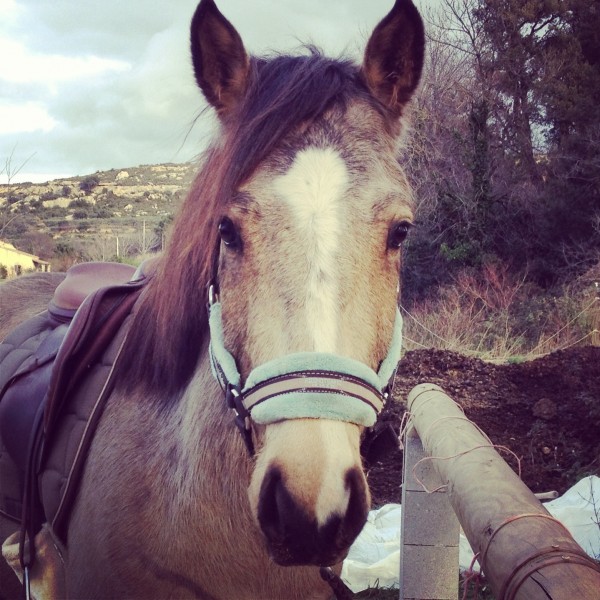 Photo de profil de azur01