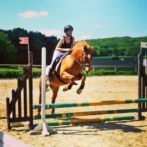 Photo de profil de babouhorse