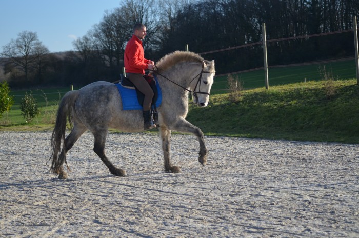Photo de profil de baronservices