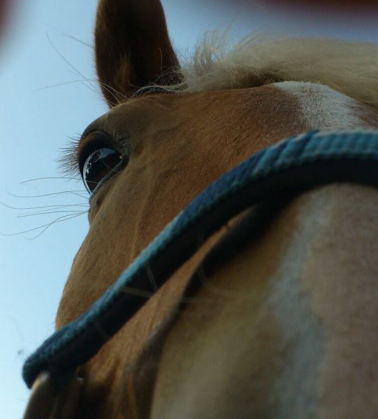 Photo de profil de bayard0203