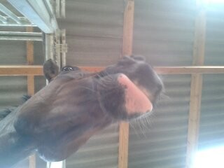 Photo de profil de beauty756