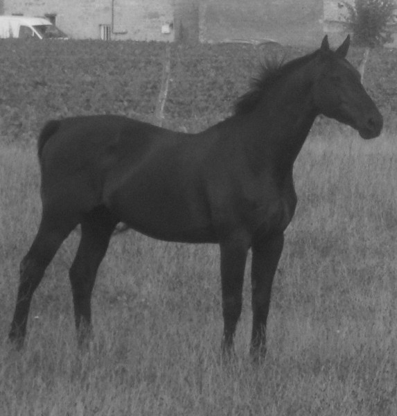 Photo de profil de bisson14620