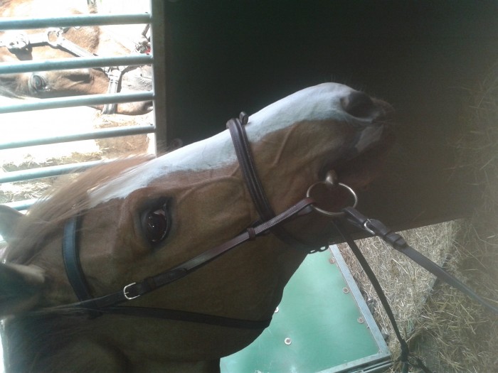 Photo de profil de blovers