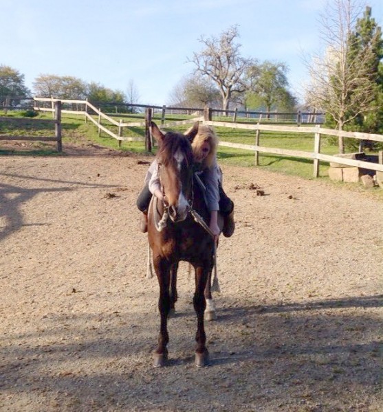 Photo de profil de bluethemoon