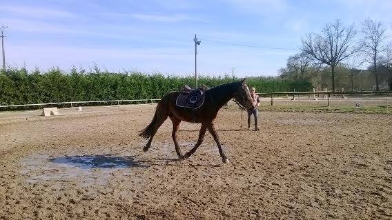 Photo de profil de bolerode