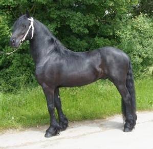 Photo de profil de boubibou