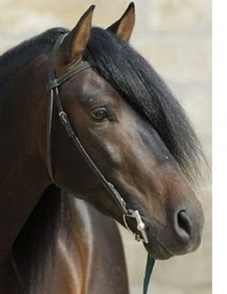 Photo de profil de boubouille23