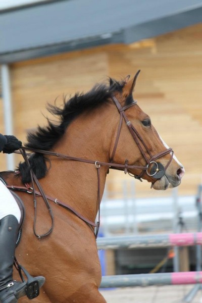 Photo de profil de bouille54