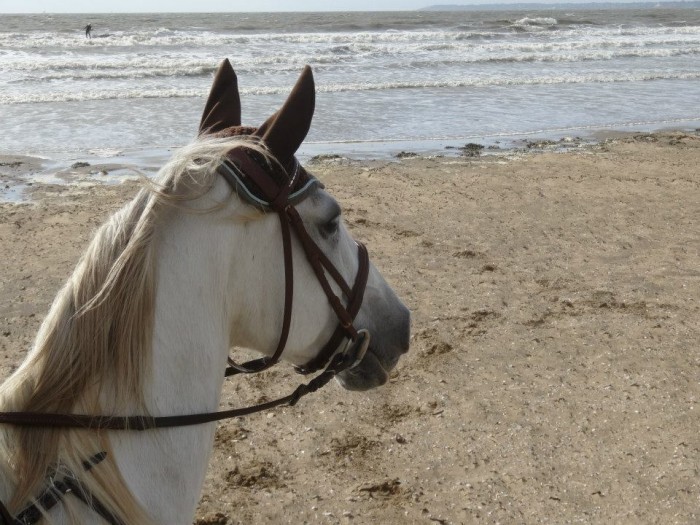 Photo de profil de bridget91510