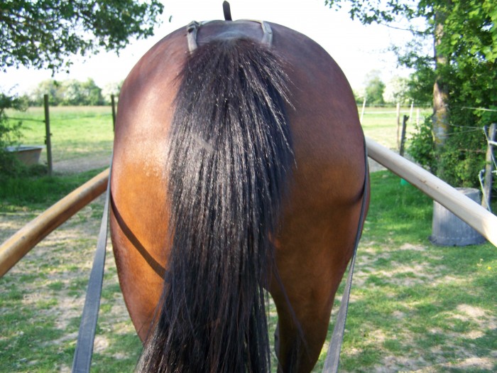Photo de profil de brocante