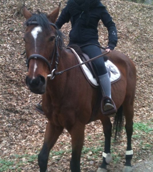 Photo de profil de bruno25