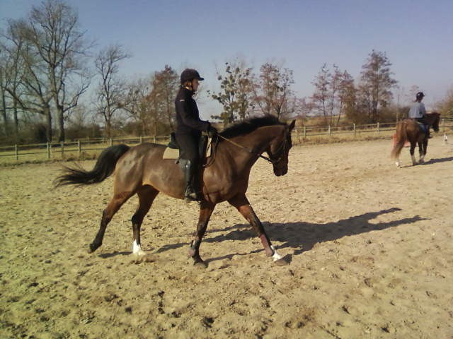 Photo de profil de bsandrine