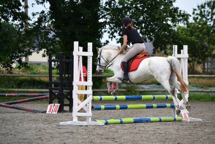 Photo de profil de calinehirondele