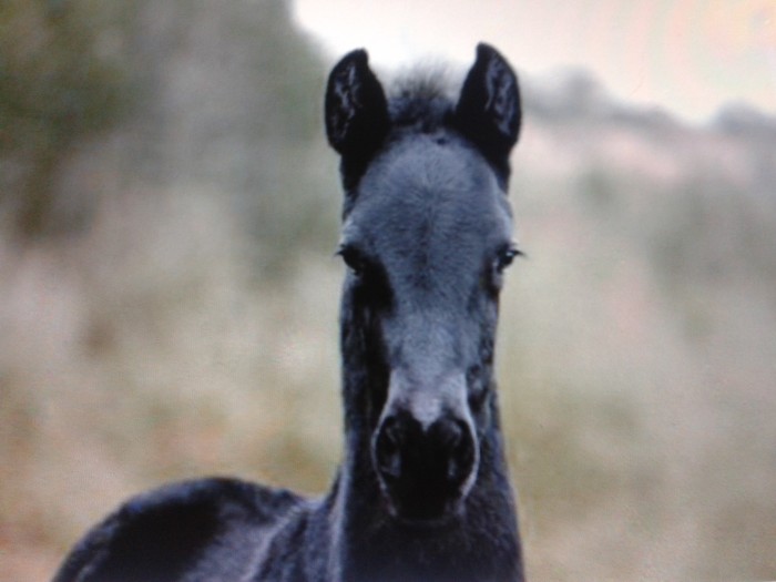 Photo de profil de calou31