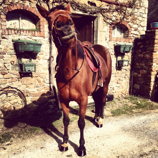 Photo de profil de camillemsr