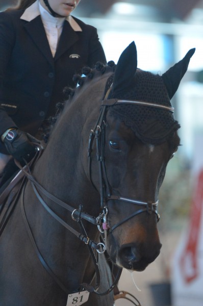 Photo de profil de canterdecantrai