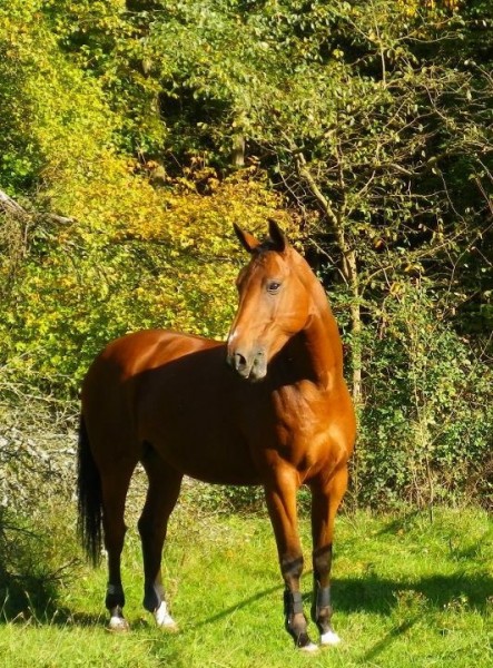 Photo de profil de cap.74