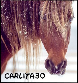 Photo de profil de carlita30