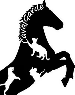 Photo de profil de cavalgarde