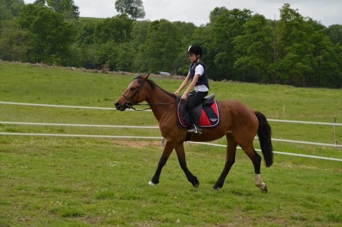 Photo de profil de cavalierdusud