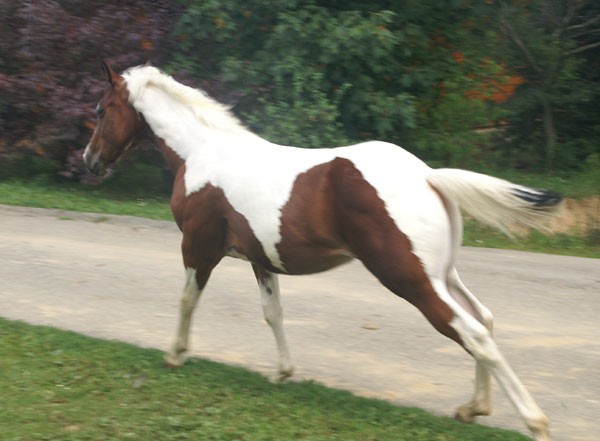 Photo de profil de c.b.m.manuela