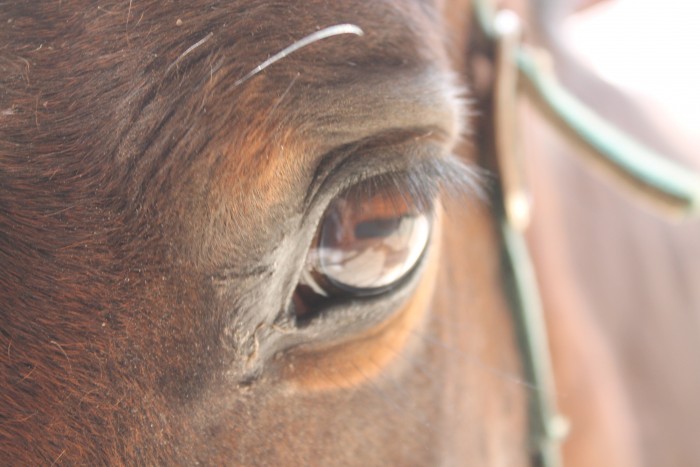Photo de profil de cdtiucha