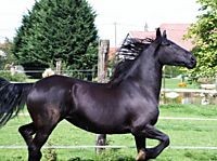 Photo de profil de cecilejacques1