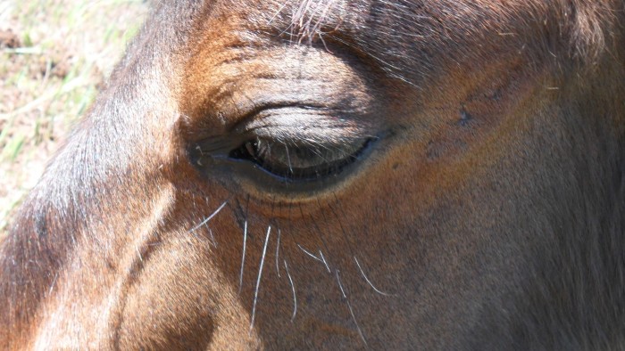 Photo de profil de celcy