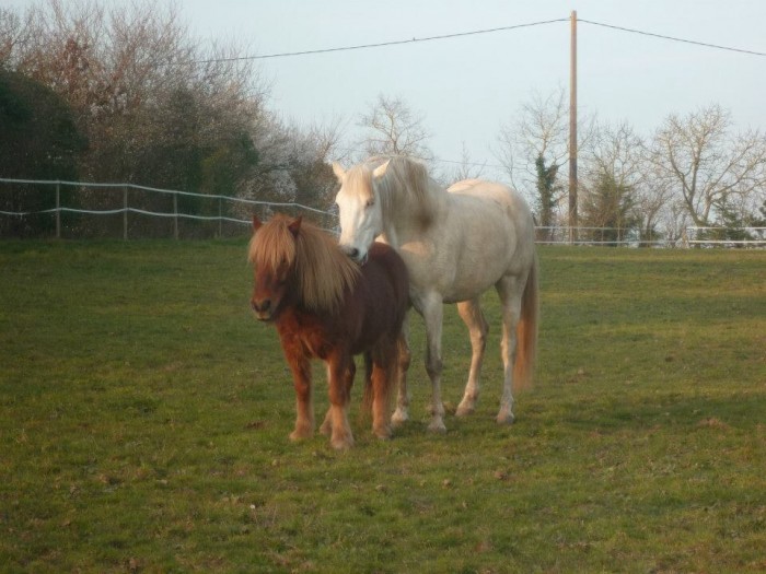 Photo de profil de chalimard85